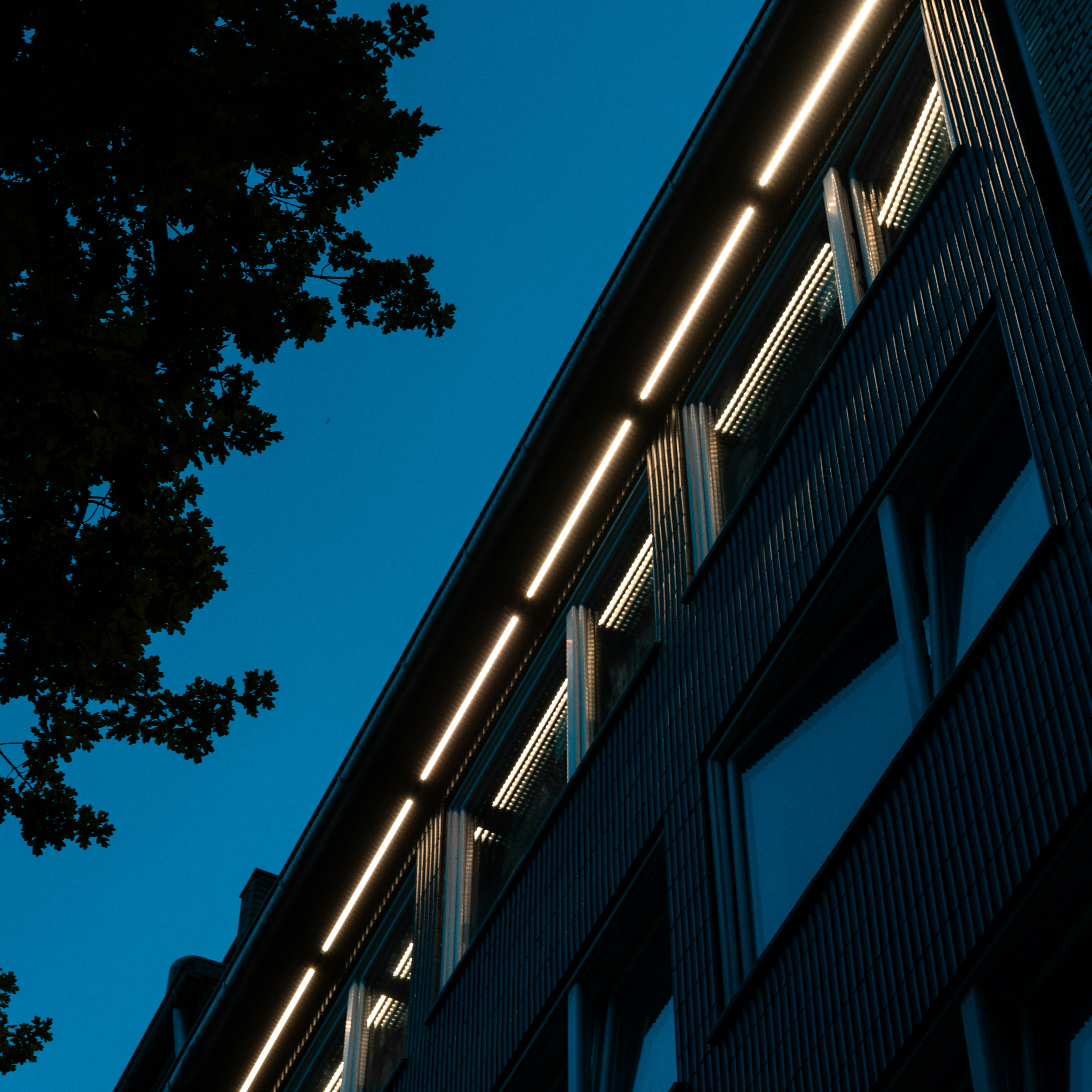 Data points on top of landscape